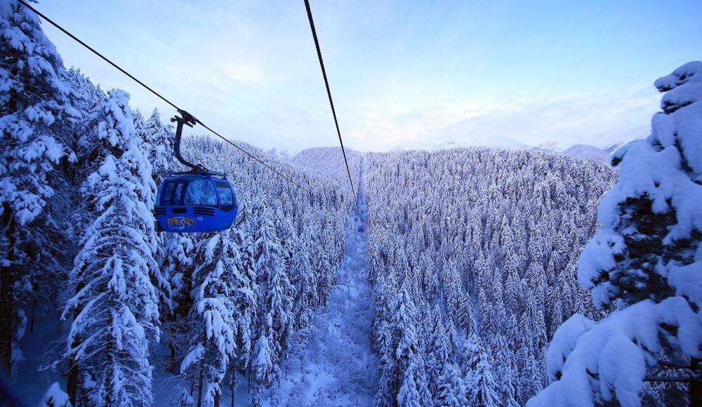 Green Life Bansko, 1 Bedroom Private Apartment D4 Bagian luar foto